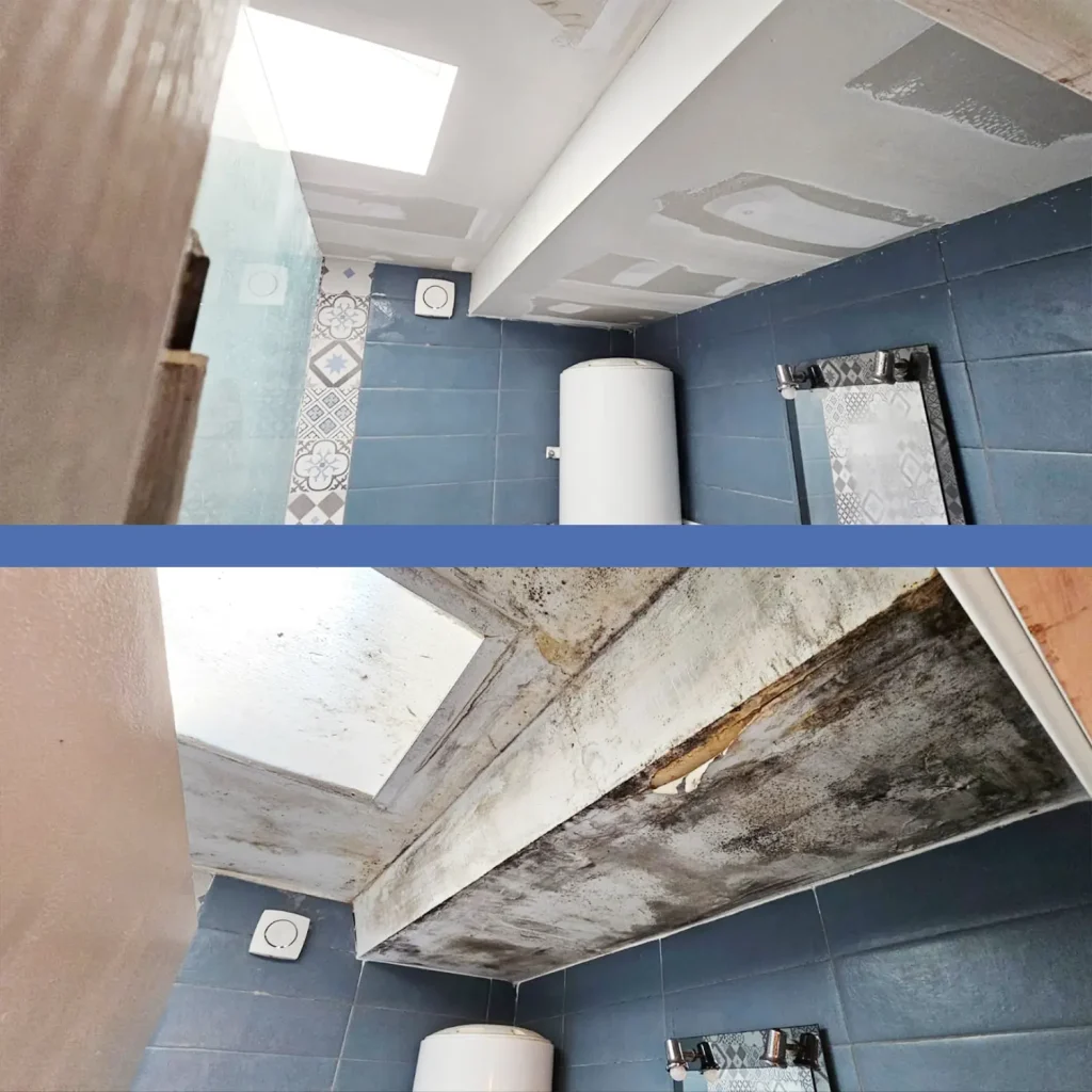 Remplacement de plaques de plâtre et réfection d'entourage de Velux après sinistre à Vallet.